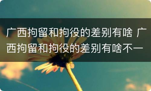 广西拘留和拘役的差别有啥 广西拘留和拘役的差别有啥不一样