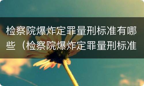 检察院爆炸定罪量刑标准有哪些（检察院爆炸定罪量刑标准有哪些内容）
