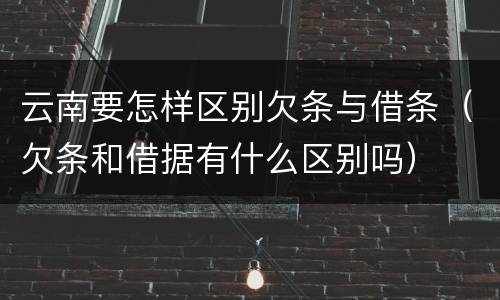 云南要怎样区别欠条与借条（欠条和借据有什么区别吗）