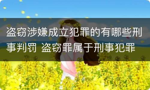 盗窃涉嫌成立犯罪的有哪些刑事判罚 盗窃罪属于刑事犯罪