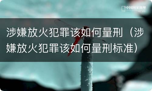 涉嫌放火犯罪该如何量刑（涉嫌放火犯罪该如何量刑标准）