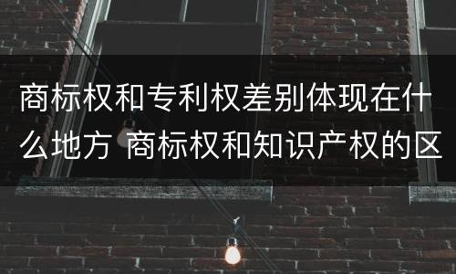 商标权和专利权差别体现在什么地方 商标权和知识产权的区别