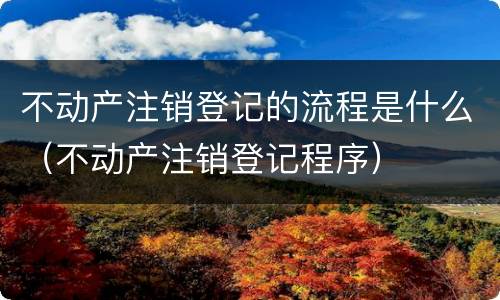 不动产注销登记的流程是什么（不动产注销登记程序）