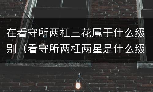 在看守所两杠三花属于什么级别（看守所两杠两星是什么级别）