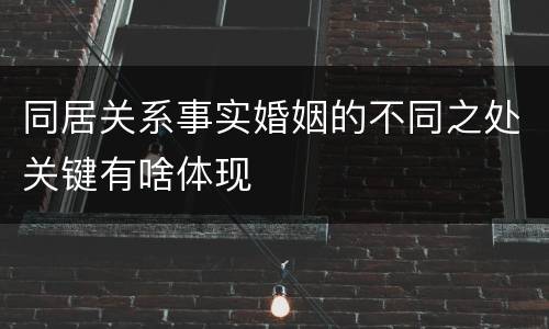 同居关系事实婚姻的不同之处关键有啥体现