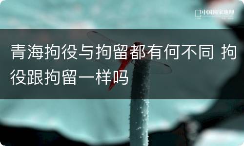 青海拘役与拘留都有何不同 拘役跟拘留一样吗