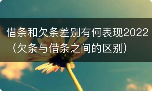 借条和欠条差别有何表现2022（欠条与借条之间的区别）