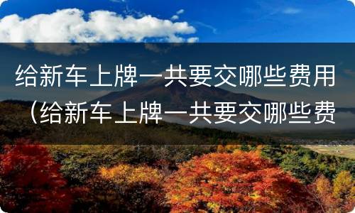 给新车上牌一共要交哪些费用（给新车上牌一共要交哪些费用呢）