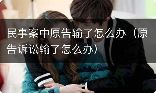民事案中原告输了怎么办（原告诉讼输了怎么办）