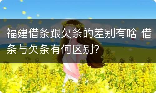 福建借条跟欠条的差别有啥 借条与欠条有何区别?