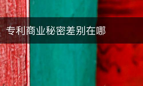 专利商业秘密差别在哪