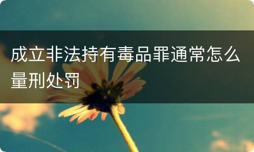 成立非法持有毒品罪通常怎么量刑处罚