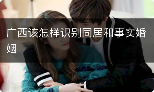 广西该怎样识别同居和事实婚姻