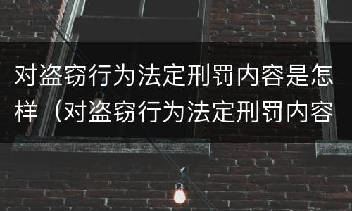 对盗窃行为法定刑罚内容是怎样（对盗窃行为法定刑罚内容是怎样认定的）