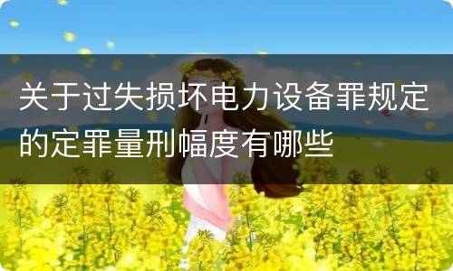关于过失损坏电力设备罪规定的定罪量刑幅度有哪些