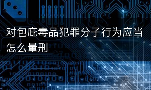 对包庇毒品犯罪分子行为应当怎么量刑