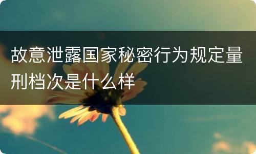 故意泄露国家秘密行为规定量刑档次是什么样