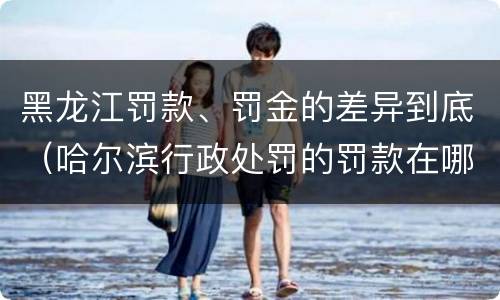 黑龙江罚款、罚金的差异到底（哈尔滨行政处罚的罚款在哪交）