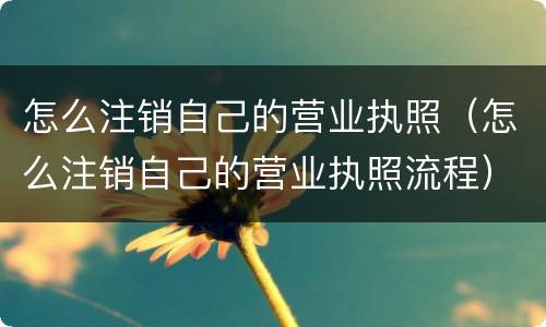 怎么注销自己的营业执照（怎么注销自己的营业执照流程）