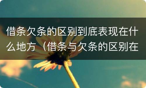 借条欠条的区别到底表现在什么地方（借条与欠条的区别在哪里）