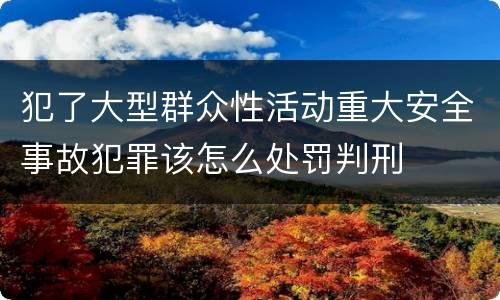 犯了大型群众性活动重大安全事故犯罪该怎么处罚判刑