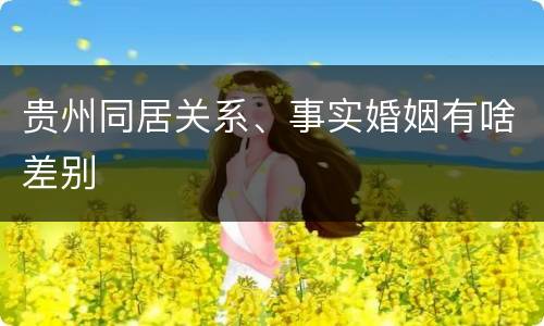 贵州同居关系、事实婚姻有啥差别