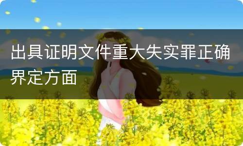 出具证明文件重大失实罪正确界定方面