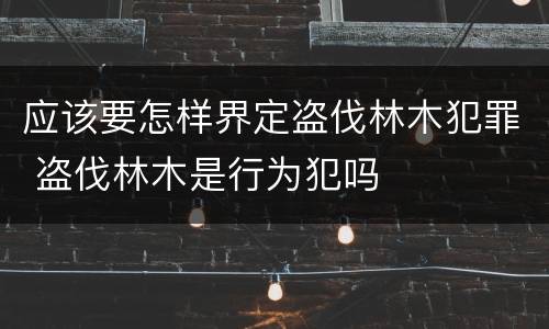 应该要怎样界定盗伐林木犯罪 盗伐林木是行为犯吗