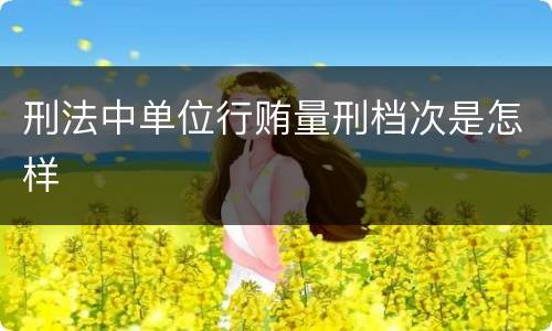 刑法中单位行贿量刑档次是怎样