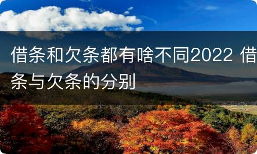 借条和欠条都有啥不同2022 借条与欠条的分别