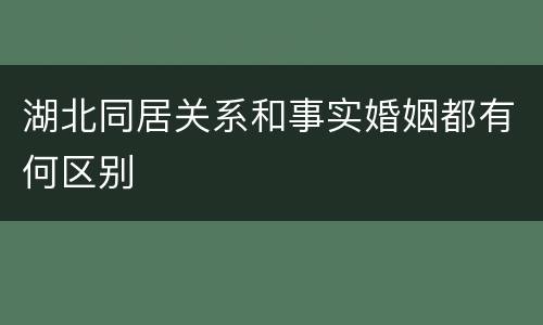 湖北同居关系和事实婚姻都有何区别