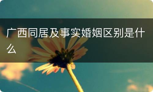 广西同居及事实婚姻区别是什么