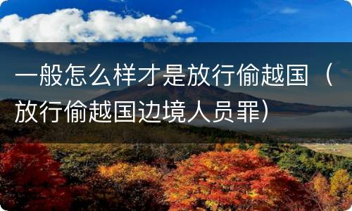 一般怎么样才是放行偷越国（放行偷越国边境人员罪）