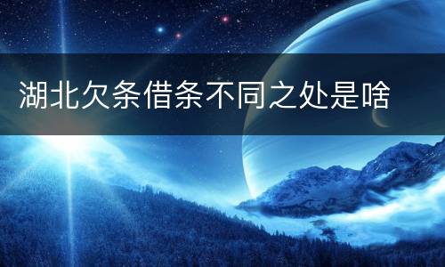 湖北欠条借条不同之处是啥