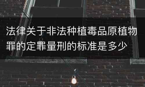 法律关于非法种植毒品原植物罪的定罪量刑的标准是多少