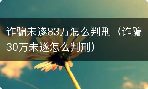 诈骗未遂83万怎么判刑（诈骗30万未遂怎么判刑）