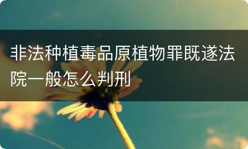 非法种植毒品原植物罪既遂法院一般怎么判刑