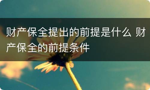 财产保全提出的前提是什么 财产保全的前提条件