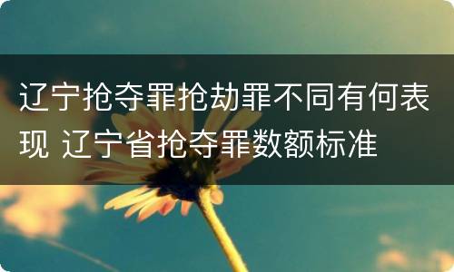 辽宁抢夺罪抢劫罪不同有何表现 辽宁省抢夺罪数额标准