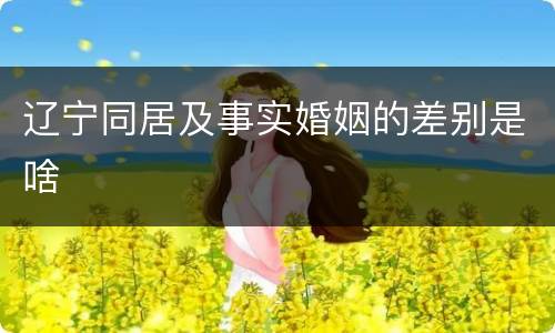 辽宁同居及事实婚姻的差别是啥