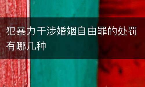 犯暴力干涉婚姻自由罪的处罚有哪几种