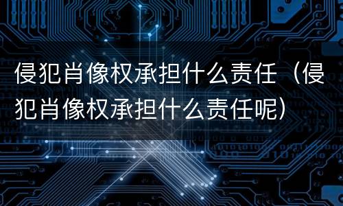 侵犯肖像权承担什么责任（侵犯肖像权承担什么责任呢）