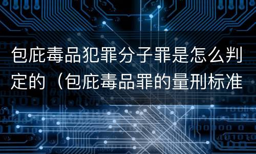 包庇毒品犯罪分子罪是怎么判定的（包庇毒品罪的量刑标准）