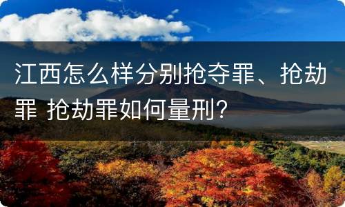 江西怎么样分别抢夺罪、抢劫罪 抢劫罪如何量刑?