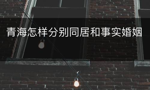 青海怎样分别同居和事实婚姻