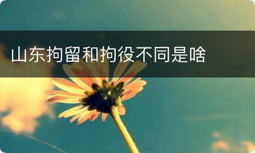 山东拘留和拘役不同是啥