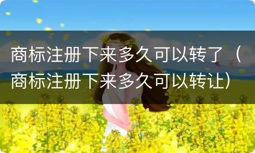 商标注册下来多久可以转了（商标注册下来多久可以转让）
