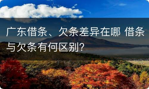 广东借条、欠条差异在哪 借条与欠条有何区别?