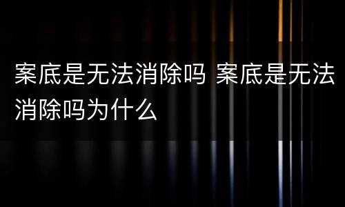 案底是无法消除吗 案底是无法消除吗为什么