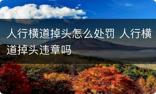 人行横道掉头怎么处罚 人行横道掉头违章吗